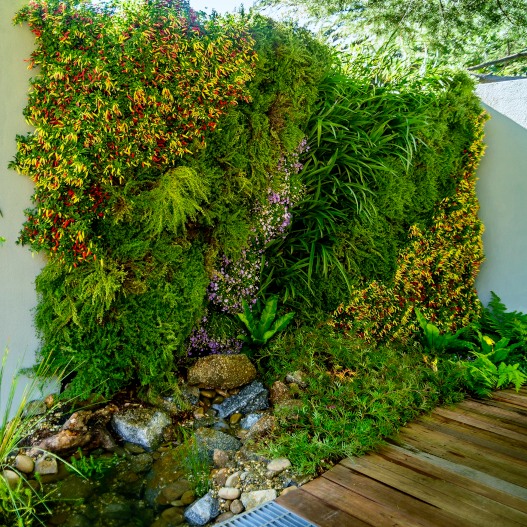 A wall garden like the wall gardens featured on the show The Block.