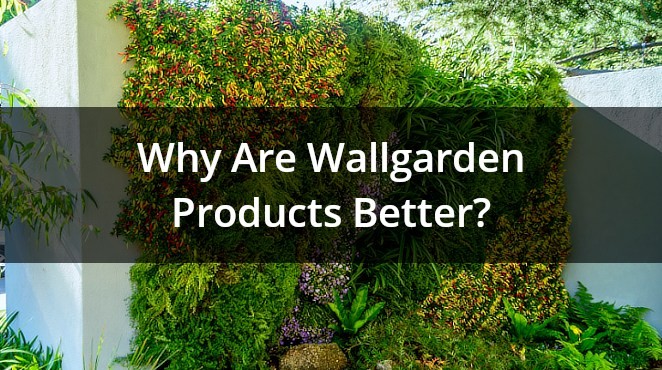 Better Wallgarden products and green walls.