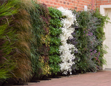 Beautiful vertical garden.