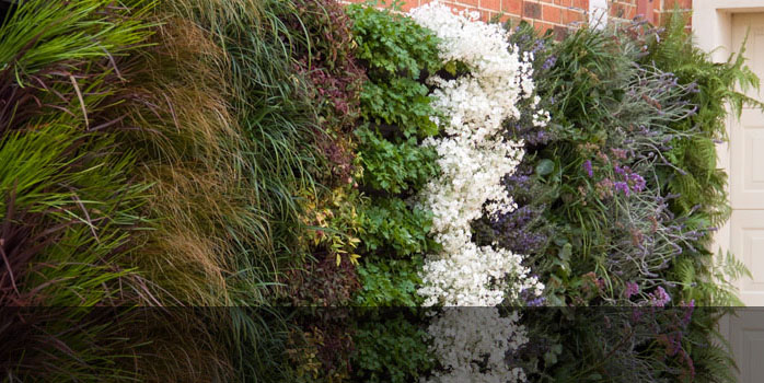 Grasses and flowering plants covering a brick wall.